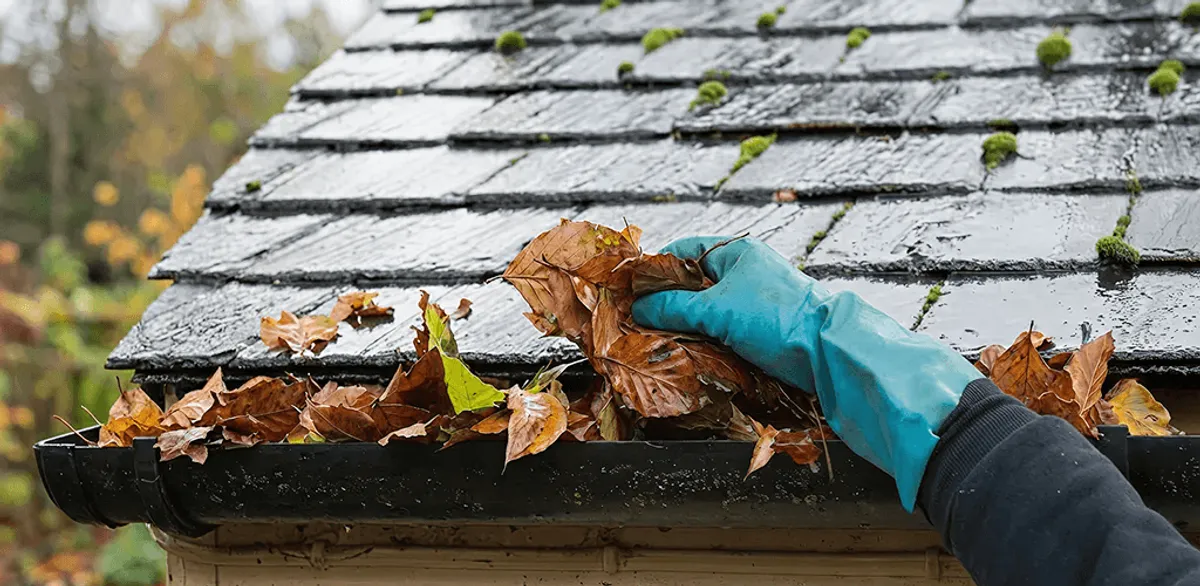 Gutter cleaning technician clearing wet leaves from roof gutters in Boca Raton, FL